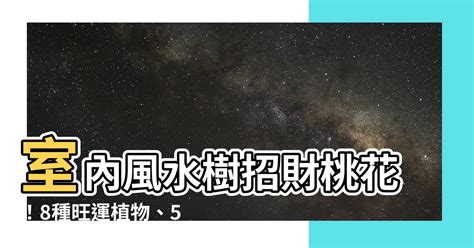 室內風水樹|為何室內風水樹能招桃花運？